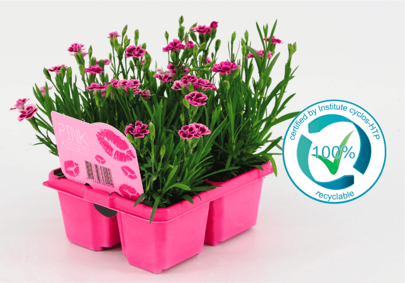 Duurzaam planten labels produceren ontwikkelen kunsstof anylabel