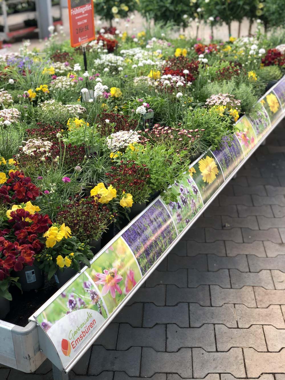 Banners & Fotokaarten