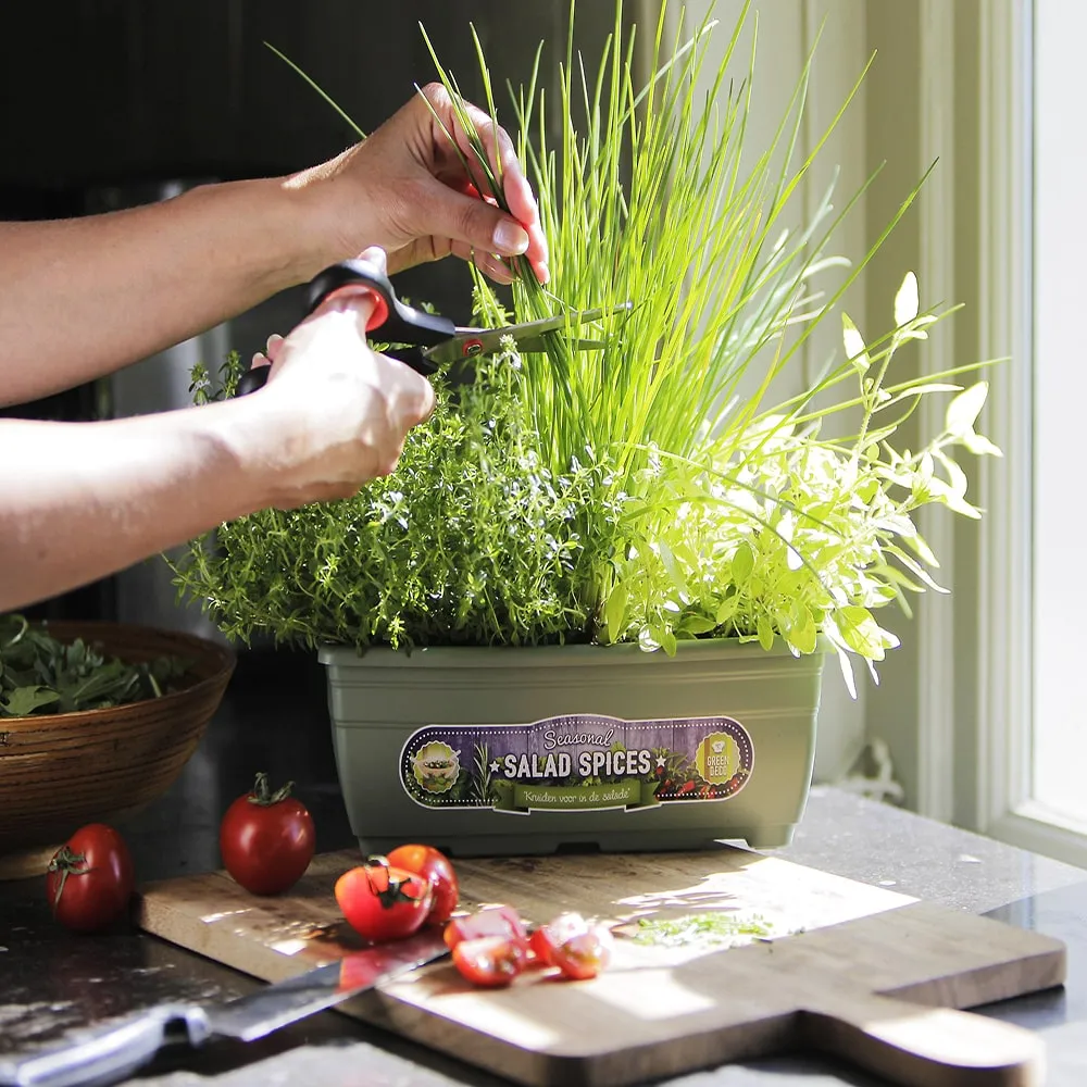 Stickers & Plaklabels